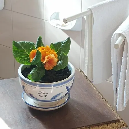 Bed & Breakfast Da Pio 4*